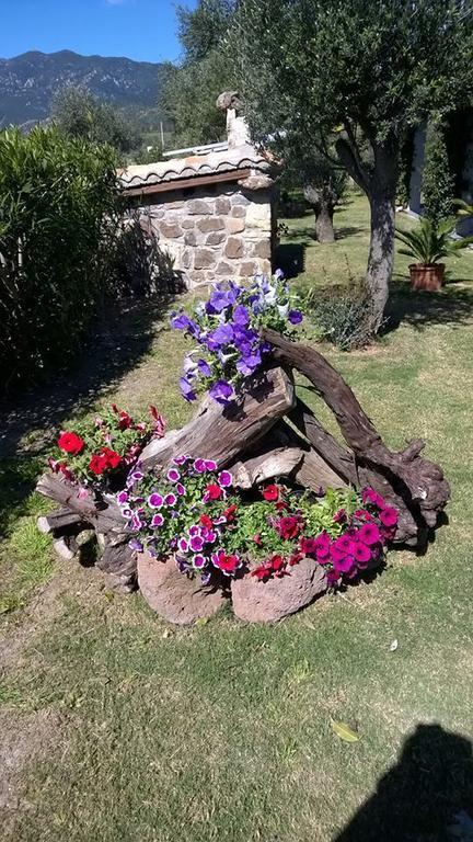 Вілла Piccolo Ranch Villa San Pietro Екстер'єр фото